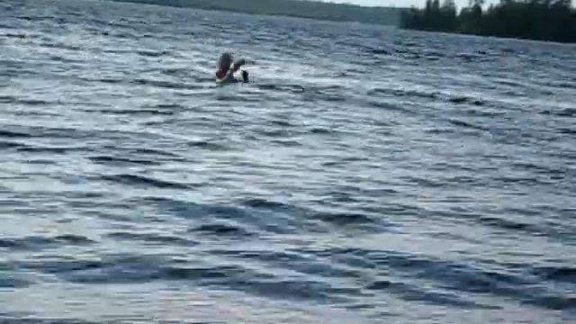 Сямг-озеро 2010.mp4 смотреть онлайн