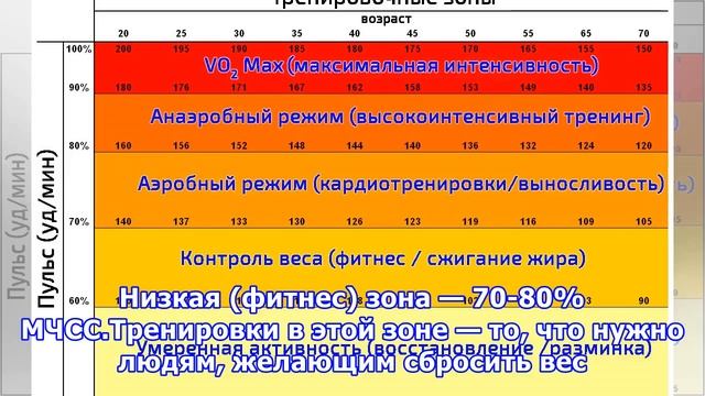 Тренируемся правильно: ЧСС и пульсовые зоны