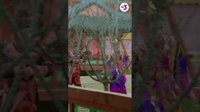 Первым не подойдет... а подбежит #shorts смотреть онлайн