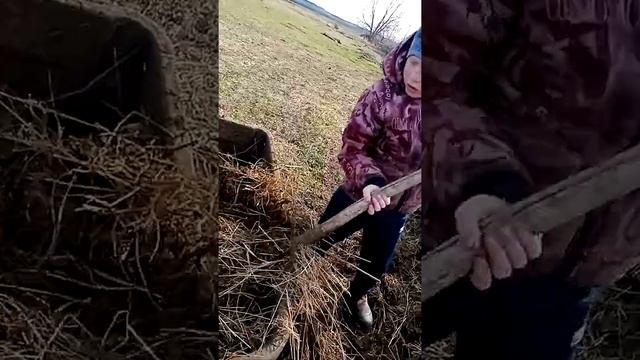 Мотоблок ока смотреть онлайн