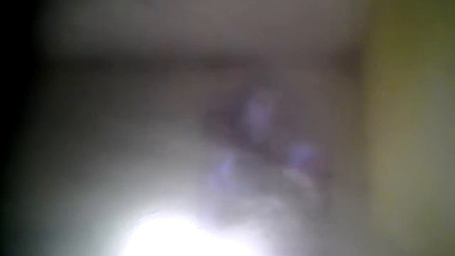 Могут ли животные видит призраков !!! смотреть онлайн