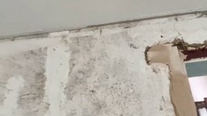 ???как быстро выровнять стены гипсокартон