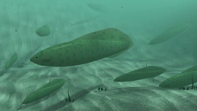 Хайкоуихтис