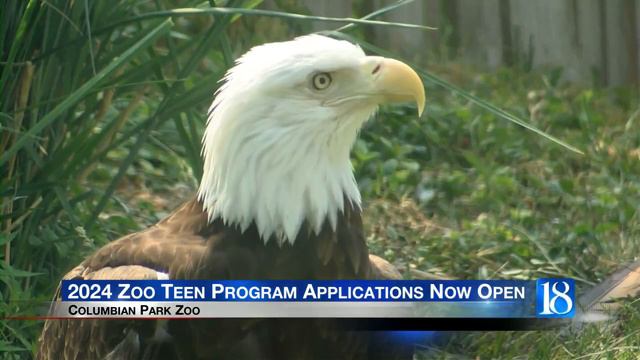 Columbian Park Zoo is accepting applications for the 2024 Zoo Teen program. смотреть онлайн