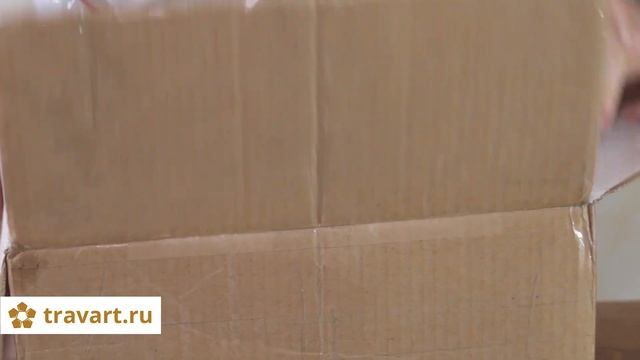 Доставка червей. Разведение червей. Червь Старатель. Червь купить. Калифорнийский чеврь дендробена