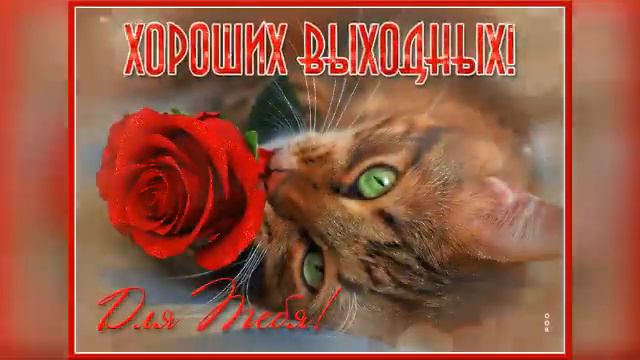 ПРЕКРАСНЫХ ЛЕТНИХ ВЫХОДНЫХ