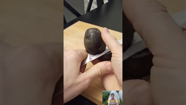 Как вам такой картофель? #short