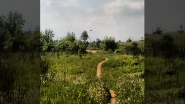 Мой Вильнюс Фото 2015 (My Vilnius 2015 Photos)