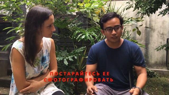 Кто спасает змей на Бали? Who is rescuing snakes in Bali? смотреть онлайн