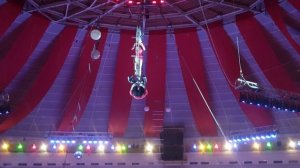 Цирк цирк цирк