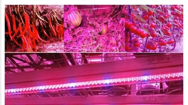Подсветка для стимуляции Роста растений из Китая смотреть онлайн
