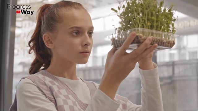 Это Уничтожит Всех Вредителей В Почве Для Рассады! Продезинфицируем Грунт Перед Посевом Семян! смотреть онлайн