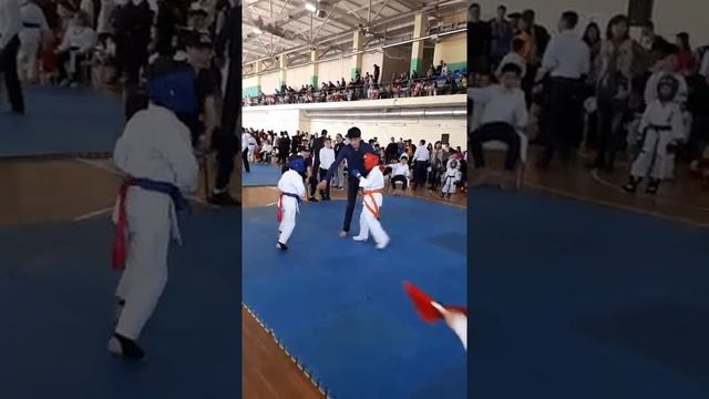 Карате Кекушинкай смотреть онлайн