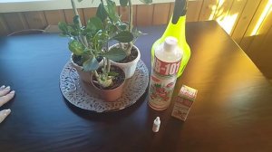 Чудеса оживления комнатных растений, препаратом нв-101!!!// Секреты хороших урожаев