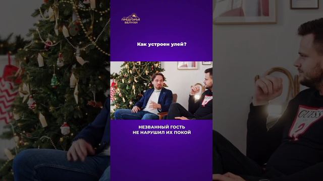 Как устроен улей? Полный выпуск на канале #здоровье #пасека #ульи смотреть онлайн