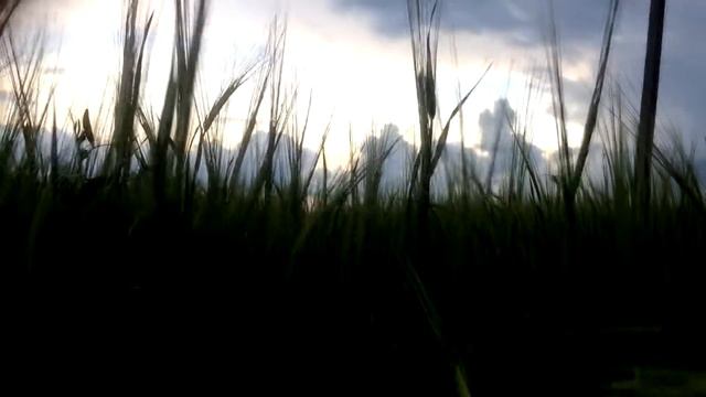 "Легко і ясно лежати з пробитими грудьми..." Олег Ольжич смотреть онлайн