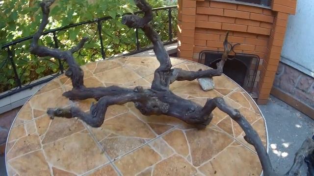 Обзор № 45. Виноградная коряга, без обработки.