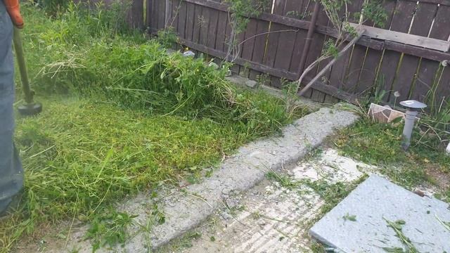 Husqvarna 545rx After Changing The Drum In Large And Thick Grass