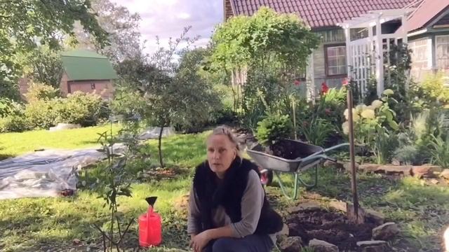 МОЙ ДЕРЕВЕНСКИЙ ДОМ, Русская печь, сад. Обзор. Давайте знакомиться. смотреть онлайн