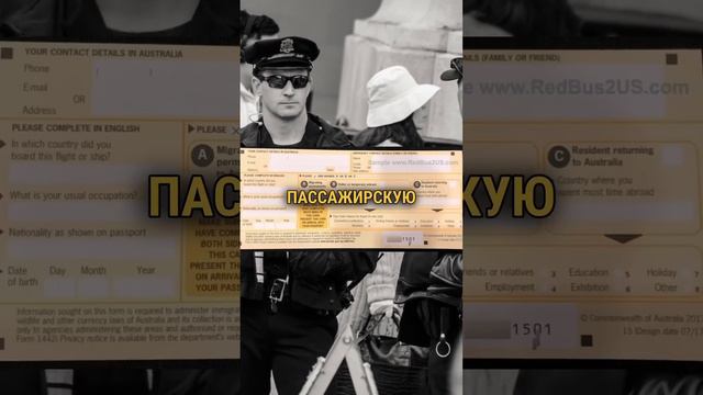 Бортпроводники подложили женщине жабу на $1200 долларов. Не попадитесь смотреть онлайн