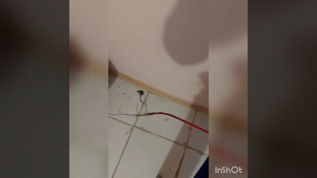 Перестала работать розетка. Поиск и устранение причины. смотреть онлайн