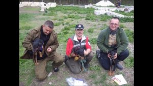 Охота с Ягдтерьером!  Мои Ягдтерьеры!!!