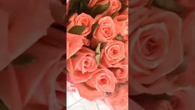 Роза Anna Karina Анна Каринья в Минске смотреть онлайн