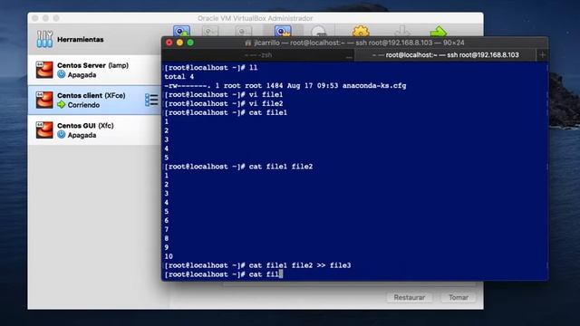 Comandos cat & tac - RedHat / Rocky Linux / Alma Linux / Oracle Linux / CentOS смотреть онлайн