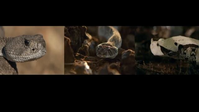 Таро Отшельник - Теория 9 аркана смотреть онлайн