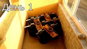 Какая пропитка лучше всего защищает дерево от воды. Сравнение неомид льняное масло, нафтенат меди д