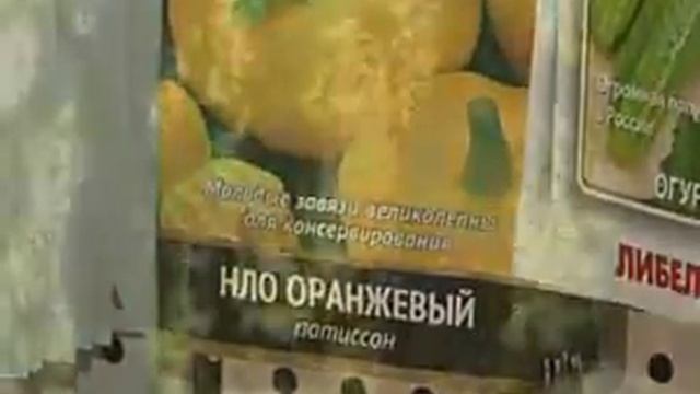 Все для Дачников и Садоводов / Флора Тверь смотреть онлайн