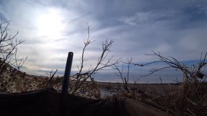 Охота на гуся. Весенняя охота на Крайнем Севере. Goose hunting.