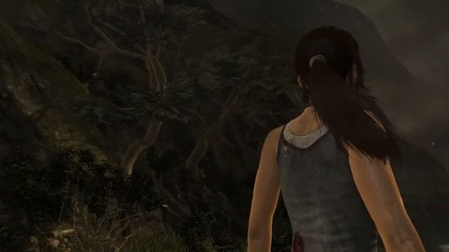 TOMB RAIDER BENCHMARK AMD RADEON HD 5770 AMD FX 4100 4 1GHZ 8GB DDR3 ULTRA SETTINGS смотреть онлайн