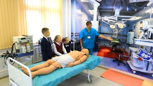 Устройство сердечно-сосудистой системы. смотреть онлайн