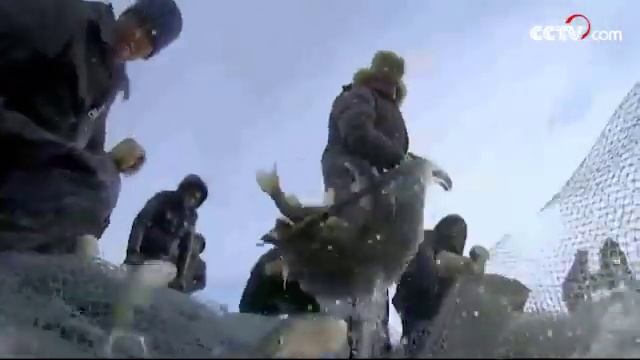 Амурский чебак в приготовлении жителей АР Внутренняя Монголия смотреть онлайн