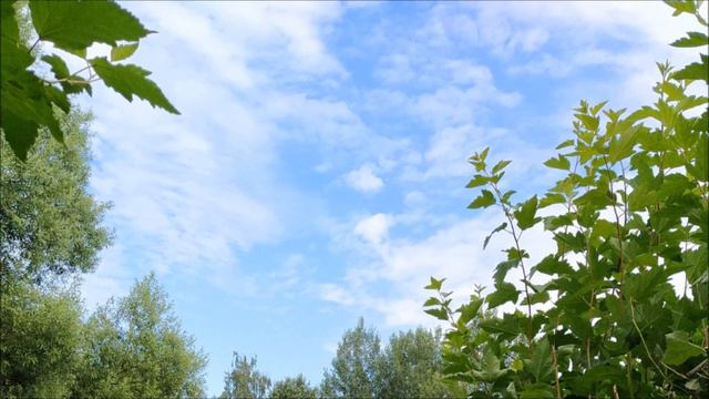 Цветовой синтезатор смотреть онлайн