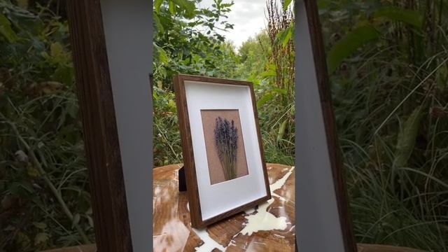 Панно из сухоцветов ЛАВАНДА смотреть онлайн