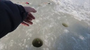 Весенняя Рыбалка. Ловля НАВАГИ и КАМБАЛЫ на Угольной