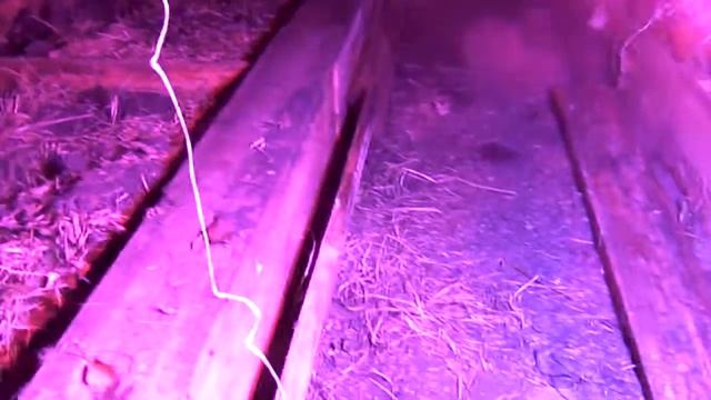 Фитолампа для СБВ и теплиц ч 2 тестирование смотреть онлайн