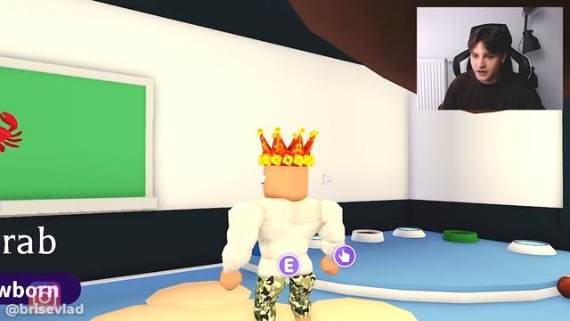 НАПИШИ ЭТО И ПОЛУЧИШЬ ПЕТА БЕСПЛАТНО В ADOPT ME ROBLOX! смотреть онлайн