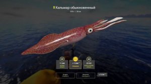 Норвежское море радует? Фарм на новой точке. #рр4 #норвежское море #русская рыбалка 4