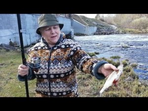 ВНУК, ВСЕ ПЛАНЫ МОИ ПОМЕНЯЛ...