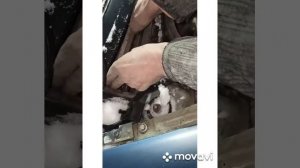 Как поменять салонный фильтр на Ситроен С 3. Где находится салонный фильтр на Ситроен С 3.