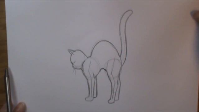 How to draw a cat stretching смотреть онлайн