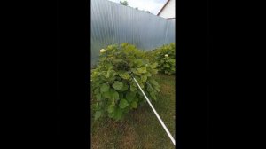 Отзыв опрыскиватель аккумуляторный Huter SP - 12 AS