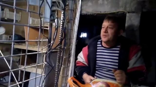 Цветные голуби Луганска. В гостях у Игоря Тихонова. смотреть онлайн