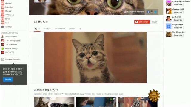 Grumpy Cat, meet Lil Bub; Lil Bub, meet Grumpy Cat смотреть онлайн