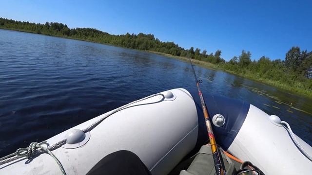 Ловля окуня на поплавок, на живца! Рыбалка на озере или как не просто выманить окуня из кувшинок! смотреть онлайн