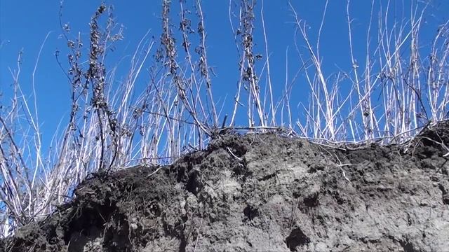 ПЛЯЖНЫЙ ПОИСК НА МОСКВА-РЕКЕ ПОИСК МОНЕТ КЛАДОВ И ЗОЛОТА SEARCHES ON THE RIVER смотреть онлайн