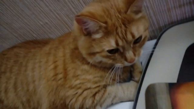 На ночь глядя